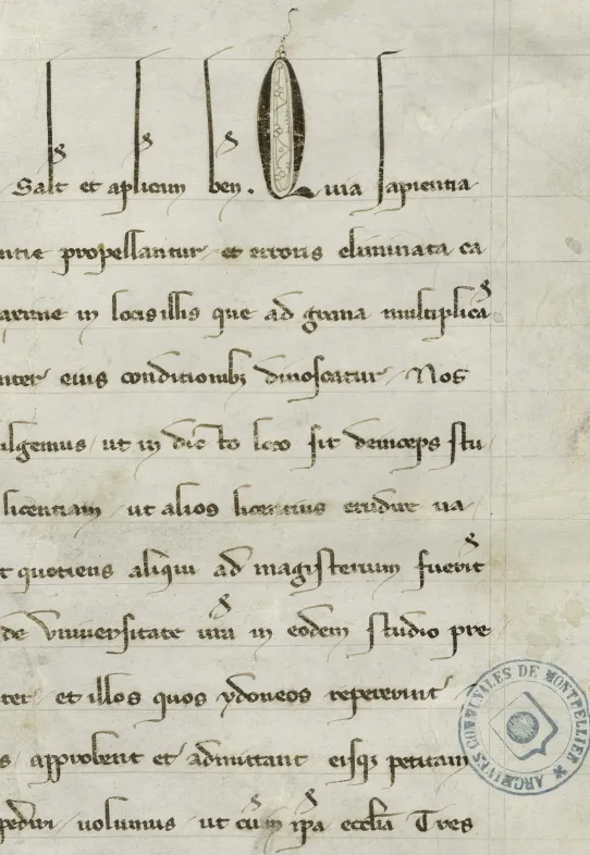 Archives de Montpellier, Louvet 619