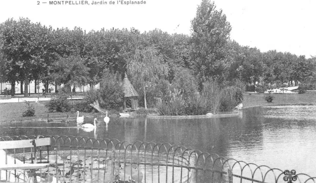 Archives de Montpellier 6fi531